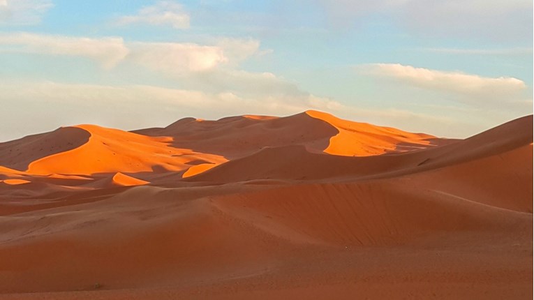 Prve ikad snimljene fotografije pustinjskih mačića su apsolutno očaravajuće!
