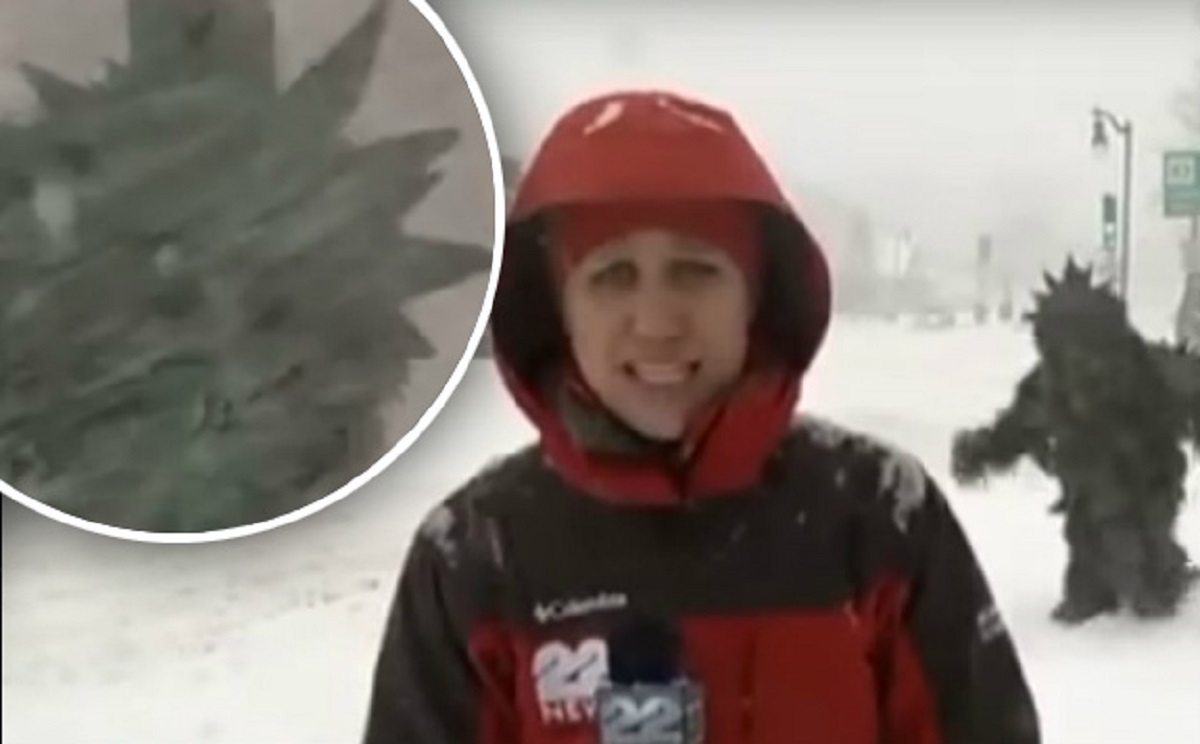 VIDEO Izvještavala o vremenu, a u kadar joj uletio "jeti od marihaune" i postao hit na internetu