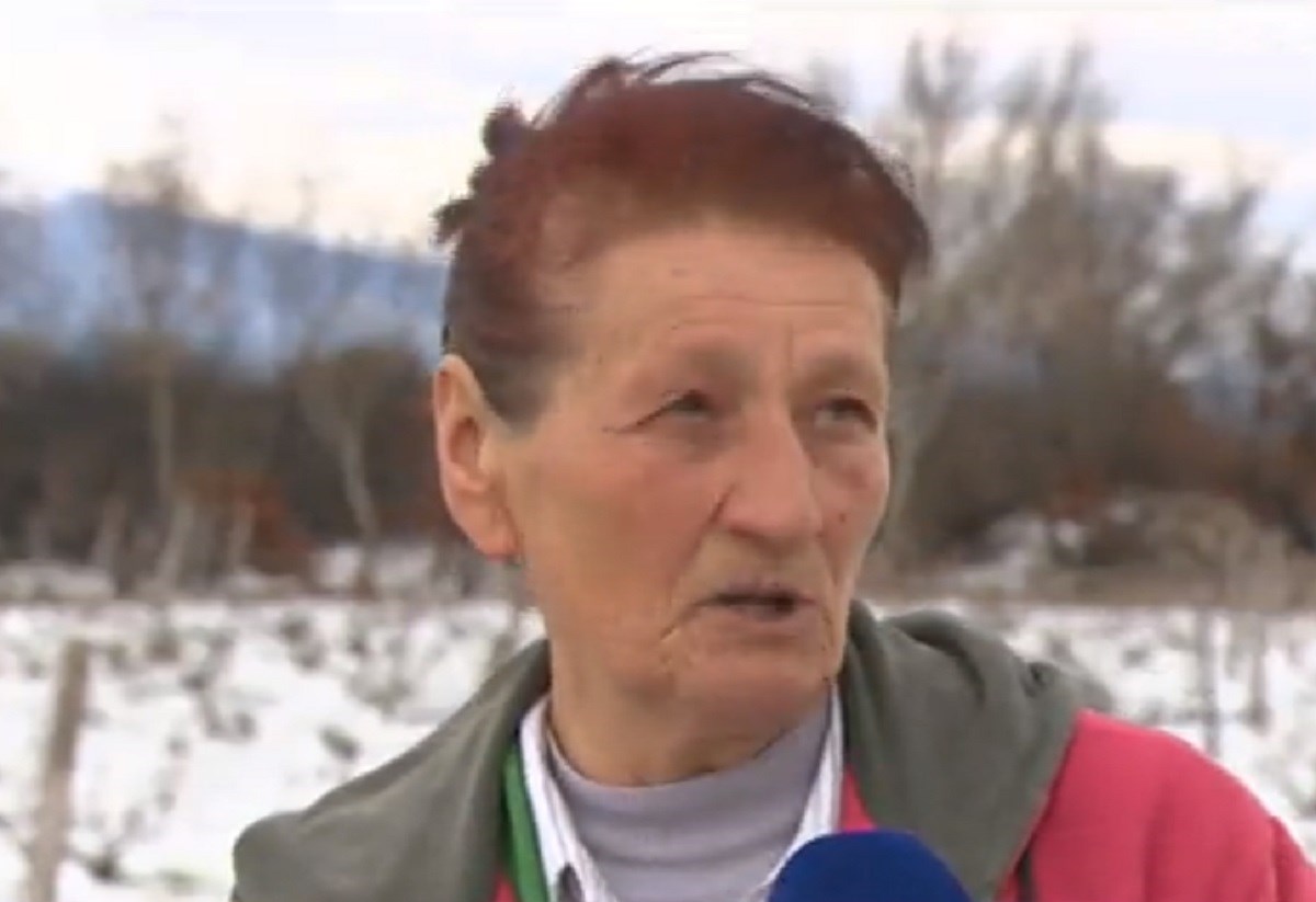 Država ženi iz Kistanja isplatila 55 kuna odštete od požara: "Hvala im što se sprdaju sa sirotinjom"