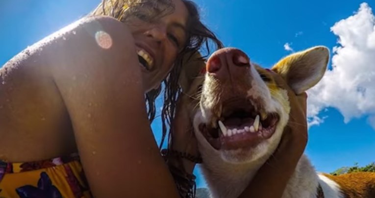 VIDEO Spasila je psa koji joj je potpuno promijenio život