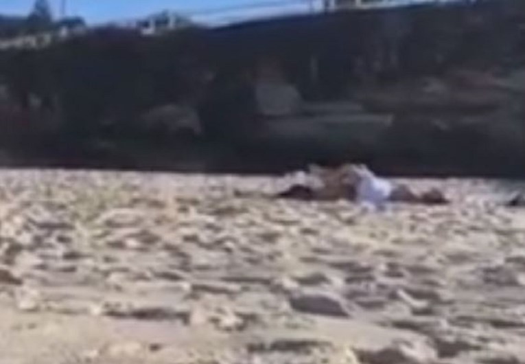 VIDEO Napaljeni par šokirao posjetitelje plaže: "Seksaju se ispred mene"