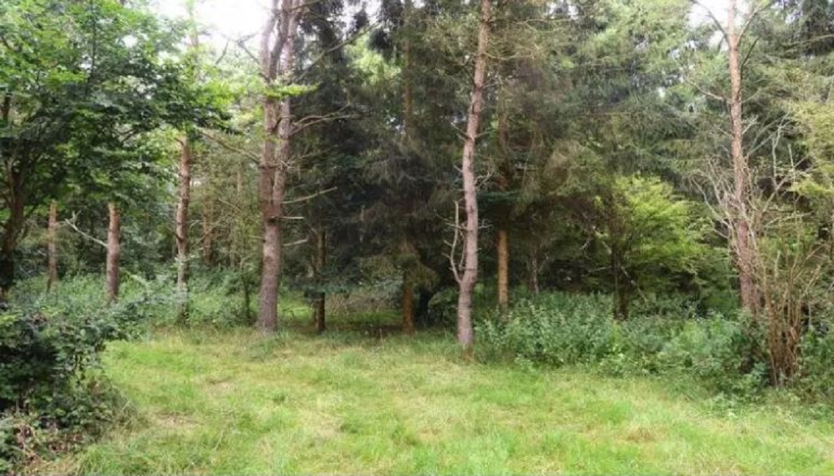 FOTO Vjerovali ili ne, čak šestorica snajperista skrivaju se na ovoj fotki, vidite li barem jednog?