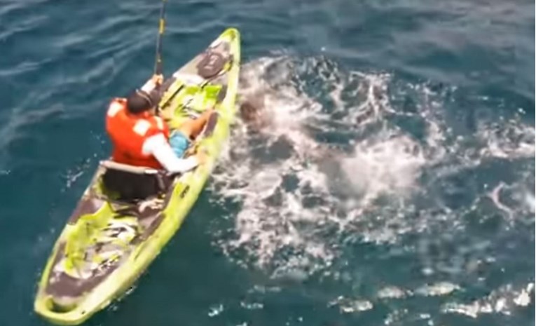 VIDEO Kakva borba: Pecao u kajaku, na udicu mu se uhvatio morski pas i prevrnuo ga