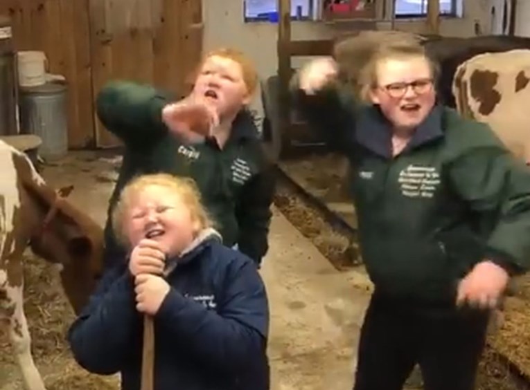 Roditelji su ove tri djevojčice poslali da očiste staju, a one su to pretvorile u pravi show