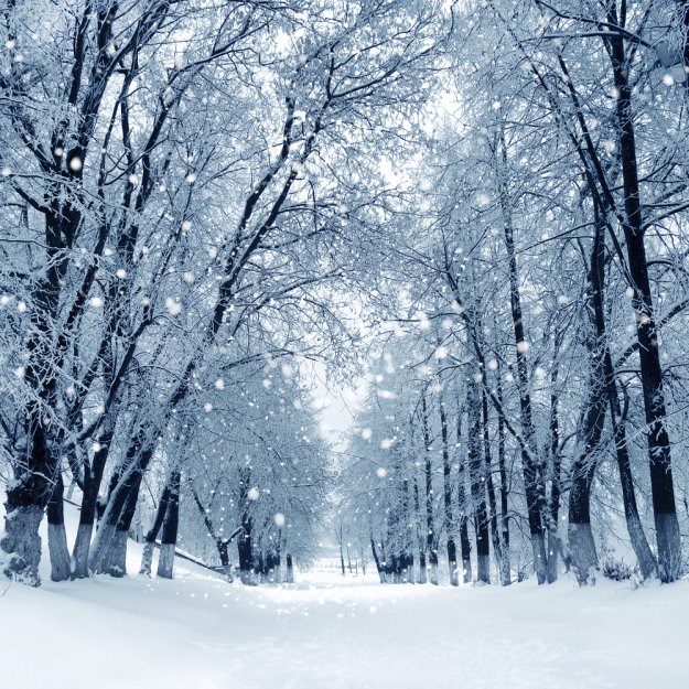 Opet stiže zima: Vakula najavljuje snijeg i u Konavlima
