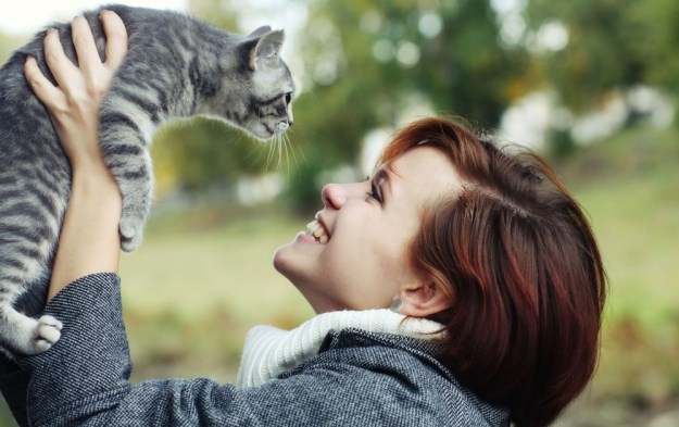 Novo istraživanje: Što posjedovanje mačke govori o vašoj osobnosti?