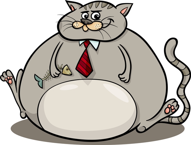 4 jednostavna načina da vaš ljubimac izgubi višak kilograma