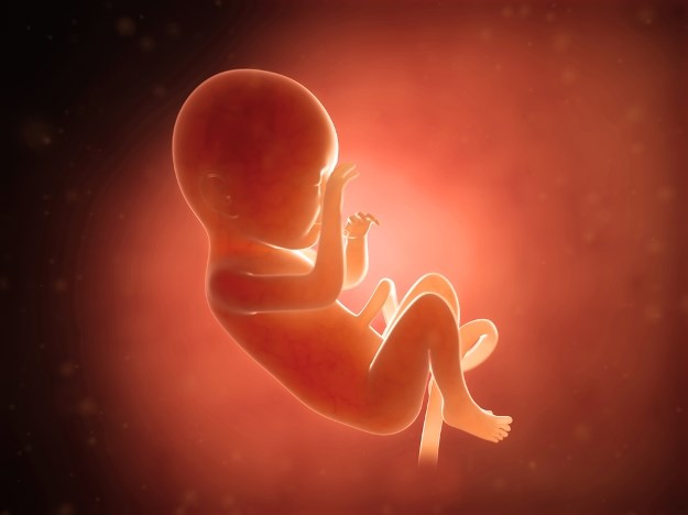 Beba rođena s dva fetusa u tijelu!