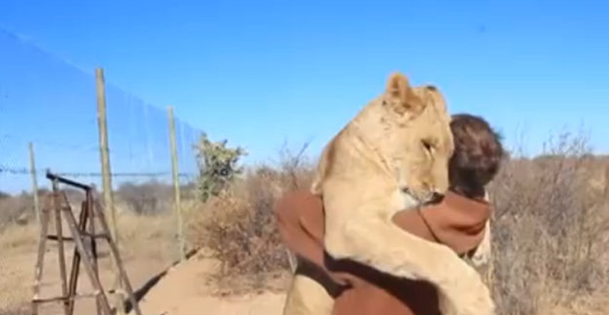 Snimka lavice koja je skočila u zagrljaj čovjeku koji joj je spasio život postala viralni hit