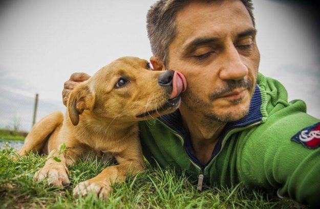 Promrzli pas koji spava uz izbjeglice više nije bezimen, zove se Sirija i traži dom