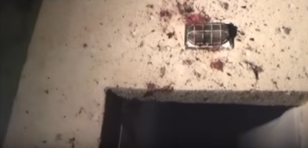 VIDEO Izrael napao vojni aerodrom u Damasku, Sirija najavila osvetu