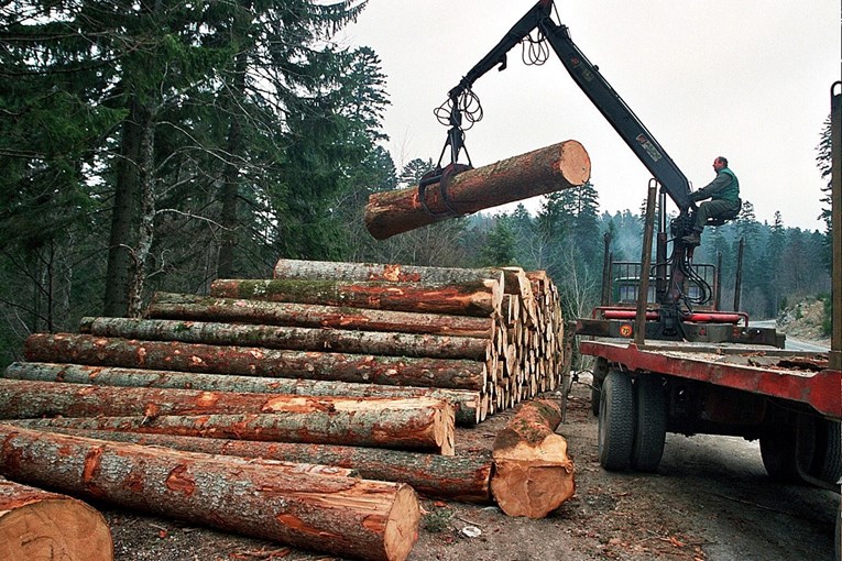 U Hrvatskoj prošle godine proizvedeno 5,4 milijuna kubičnih metara drva