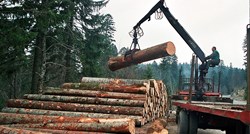 Proizvodnja drva lani povećana 0,2 posto, cijene skočile za 13,1 posto