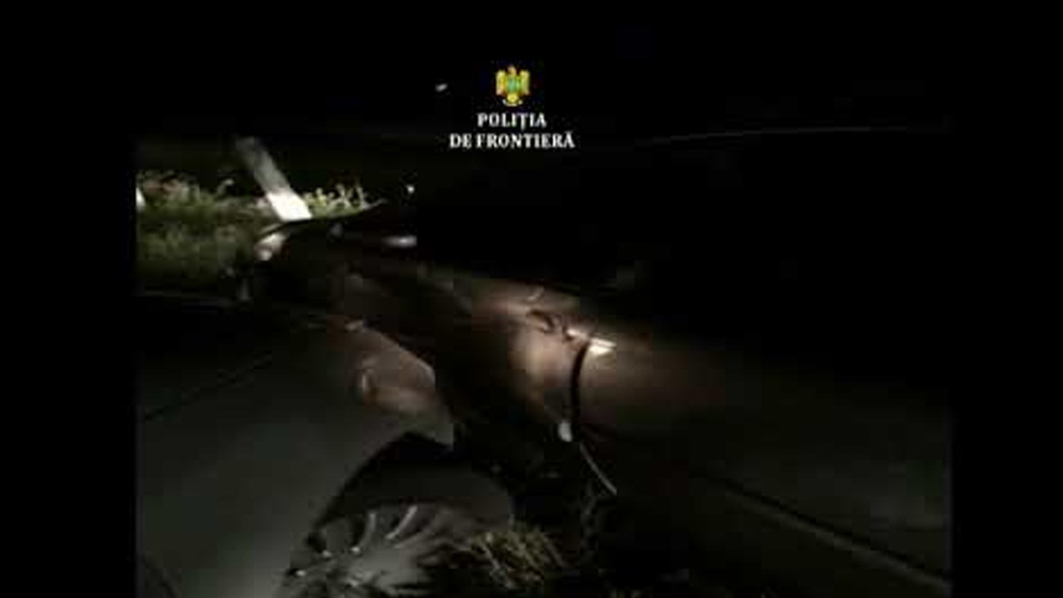 PUCNJAVA NA SRPSKO-RUMUNJSKOJ GRANICI Ozlijeđena dva migranta i policajac