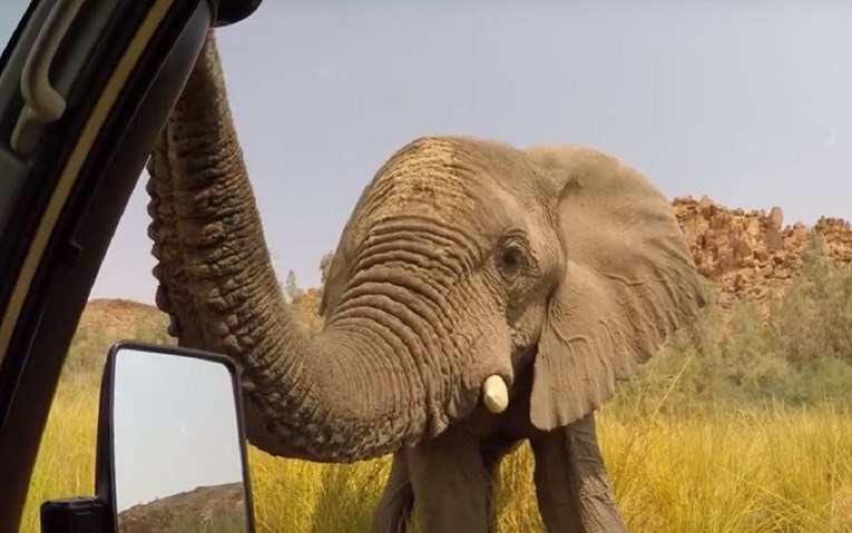 Slon pregazio i usmrtio lovca na slonove