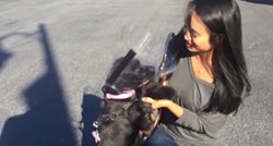 VIDEO Slijepa je kujica progledala, a ovako je reagirala kada je ugledala svoje vlasnike