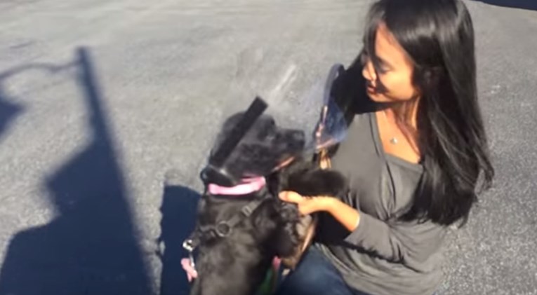 VIDEO Slijepa je kujica progledala, a ovako je reagirala kada je ugledala svoje vlasnike