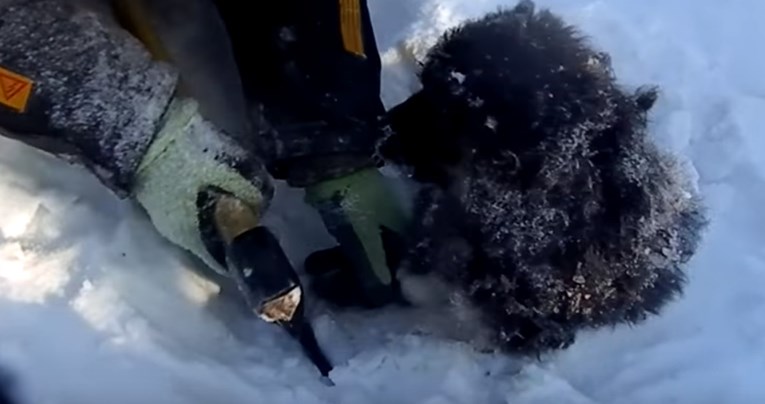 VIDEO Čovjek je pronašao smrznutog psića u snijegu i spasio mu život