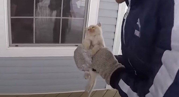 VIDEO Pronašli su macu smrznutu u snijegu i uspjeli je vratiti u život