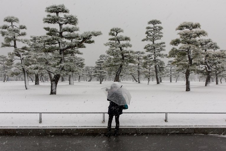 U snježnoj oluji u Japanu deseci ozlijeđenih, stotine otkazanih letova