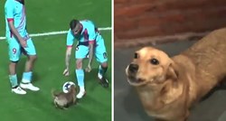 VIDEO Razigrani pas prekinuo je nogometnu utakmicu u Argentini i osvojio srca navijača