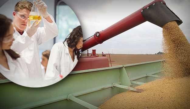 Europa odobrila tri GMO sorte soje: Od danas će se koristiti u prehrani ljudi i životinja