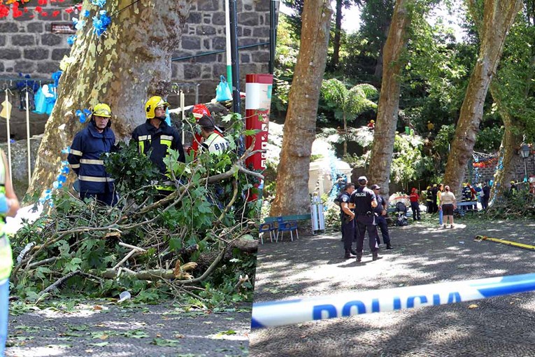 U Portugalu palo stablo na hodočasnike, poginulo 12 ljudi