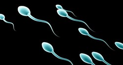 Analize potvrdile: Pada broj spermija kod muškaraca na Zapadu