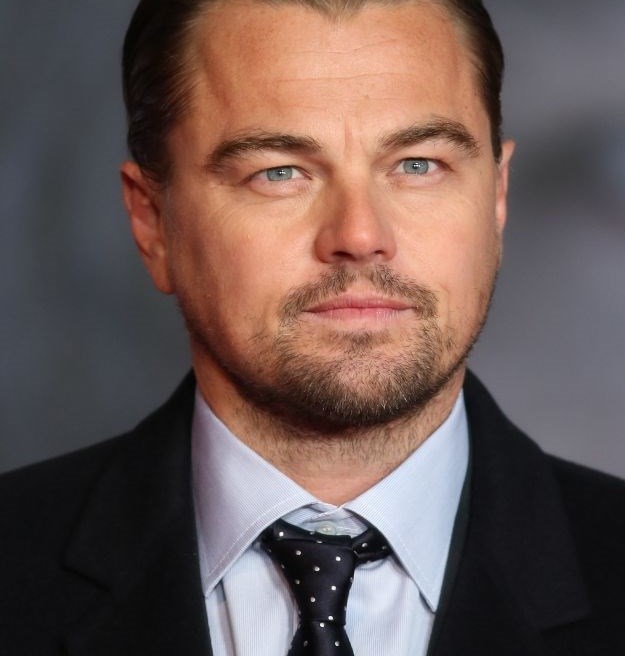 "Sirotinjski Leonardo DiCaprio": Internet je lud za Rusom koji izgleda kao slavni glumac