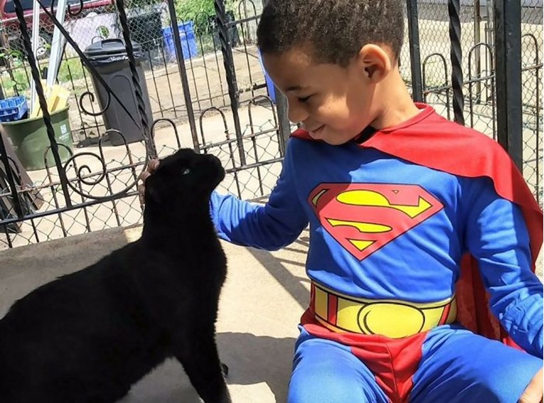 5-godišnji superjunak pomaže macama lutalicama
