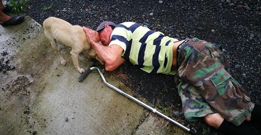 Ovaj se pas nije smirio sve dok ljudi nisu pružili pomoć njegovom ozlijeđenom vlasniku