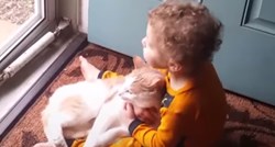 VIDEO Maleni dječak ima nevjerojatnu povezanost sa životinjama