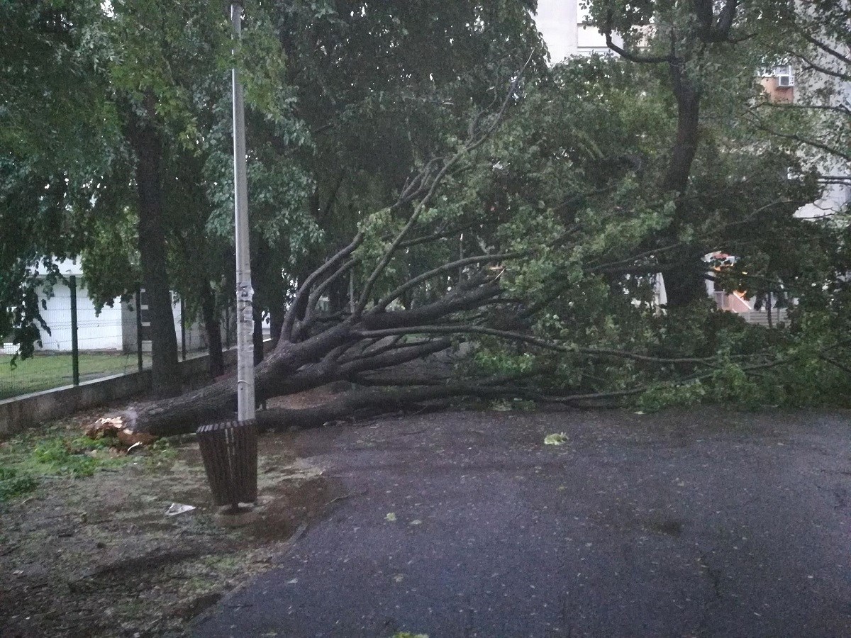 VIDEO Olujno nevrijeme potopilo Karlovac i okolicu, vjetar u Zagrebu čupao stabla