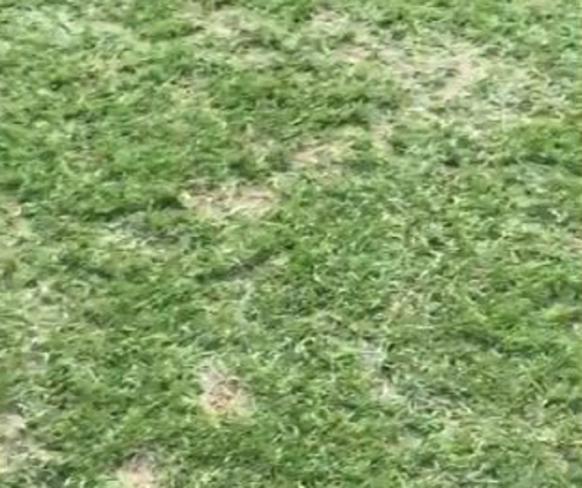 CHELSEA I BARCELONA U BLATNOJ KALJUŽI Pogledajte kakav ih teren čeka
