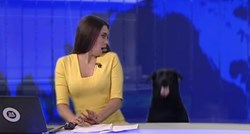 VIDEO Pas se pojavio usred vijesti i potpuno iznenadio voditeljicu