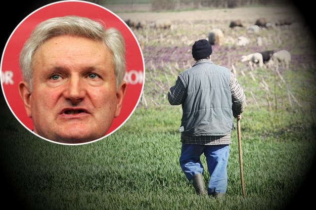 Baranjski stočar kažnjen jer su mu ovce pojele Todorićevu sol: "Oni su oni, znate kako to ide"