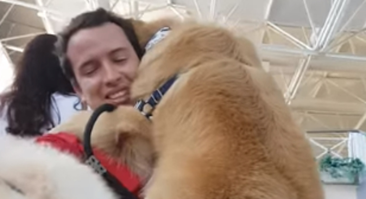 VIDEO Veliki pesonja boji se pokretnih stepenica i to izgleda preslatko