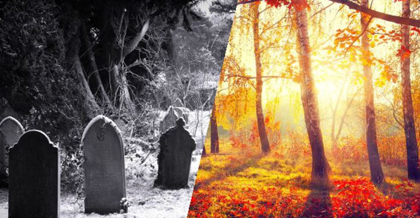 VIDEO Zbogom ljesovima, organska groblja budućnosti mogla bi vas oduševiti