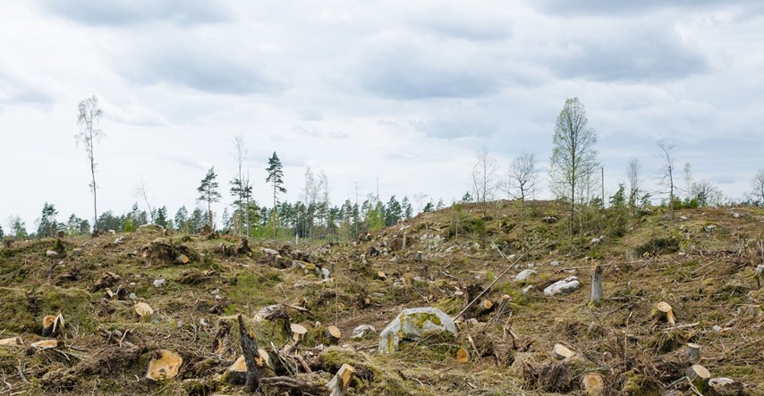 Hrvatski šumari kazneno prijavljeni jer su oštetili svoju šumariju