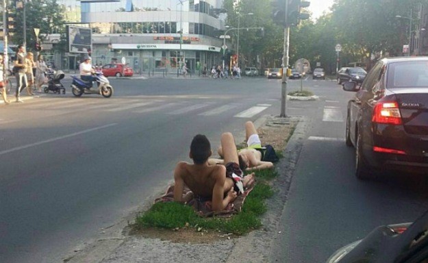 Sunčali se na jednoj od najprometnijih ulica u Novom Sadu, a sad se doznalo i zašto