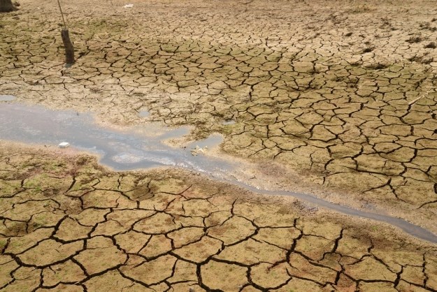 Zbog velike suše u dijelovima Istre proglašena elementarna nepogoda