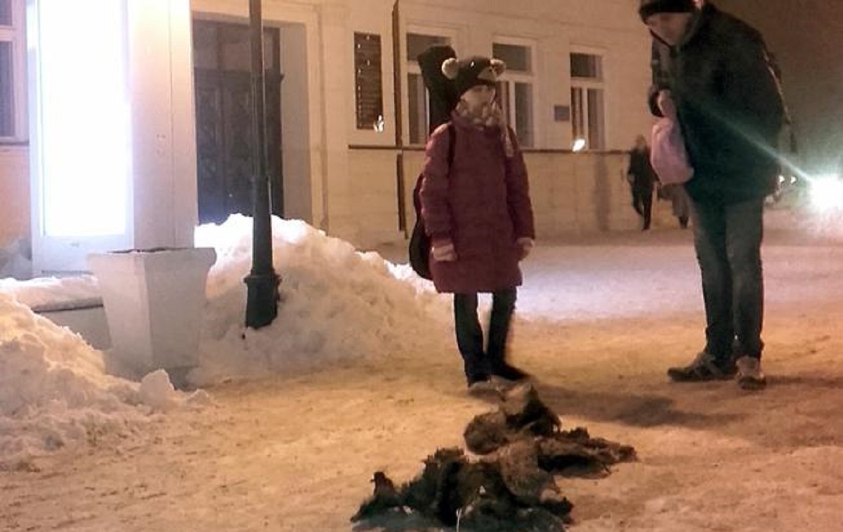 FOTO Ostavio svinjsku strvinu ispred đakovačke gradske uprave