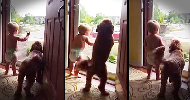 VIDEO: Tata je doma! Tko će se prvi upiškiti od sreće?!