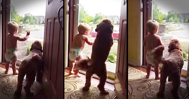 VIDEO: Tata je doma! Tko će se prvi upiškiti od sreće?!