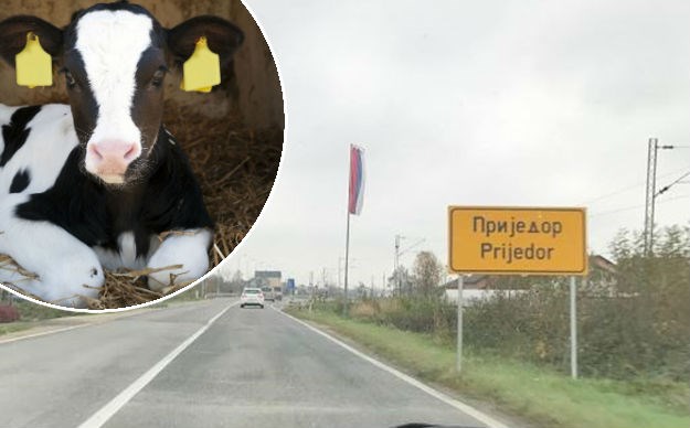 Ljubav je u Prijedoru: Prodala tele da plati taksi od Varaždina do BiH