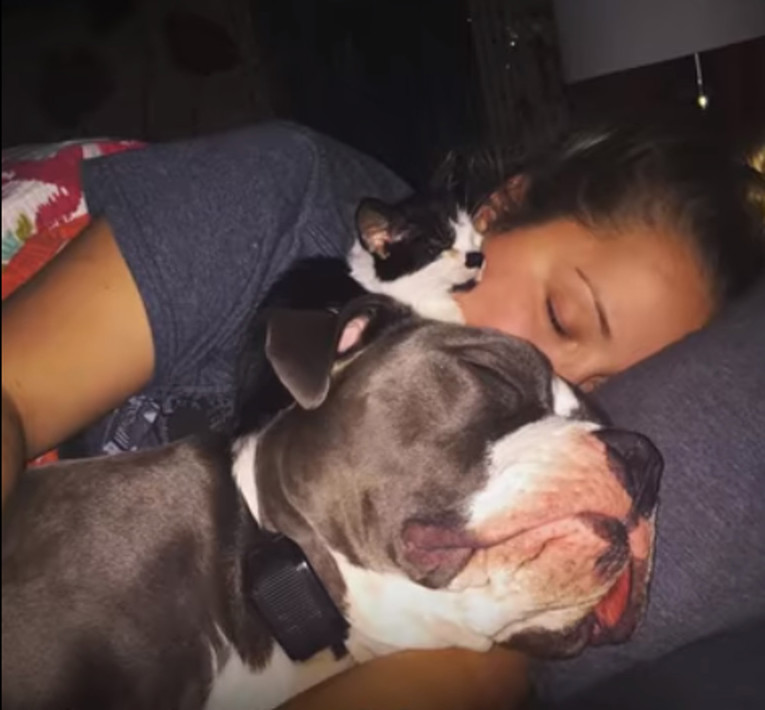 Terapijski pit bull pomaže svojoj vlasnici u borbi s anksioznošću