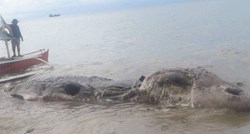 FOTO Misteriozno morsko biće od deset metara nasukalo se na plažu, nitko ne zna o čemu je riječ
