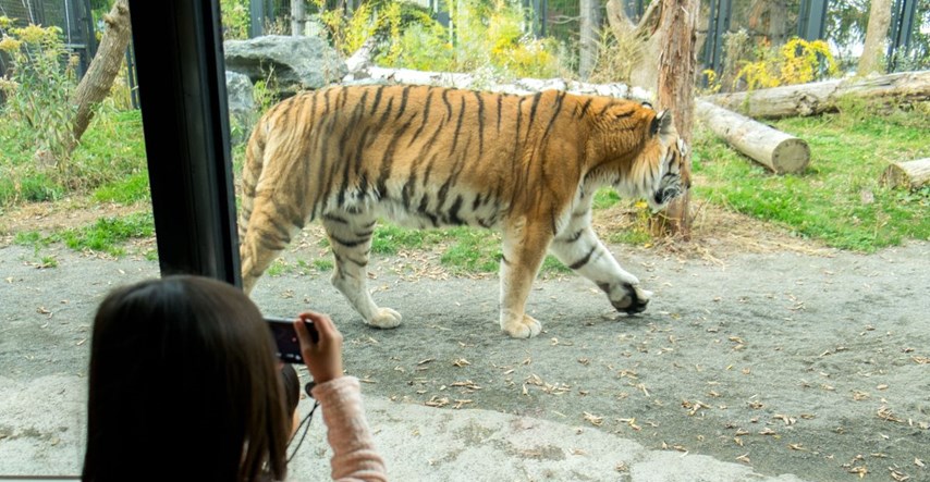 Zbog "ozbiljnog incidenta" evakuiran zoološki vrt u Velikoj Britaniji