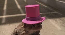 FOTO Žaba mu je svaki dan dolazila u dvorište pa joj je počeo raditi šeširiće da razveseli klinca