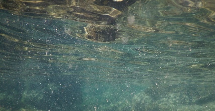 Toksične alge duž obale između Pule i Poreča, moguće i alergijske reakcije